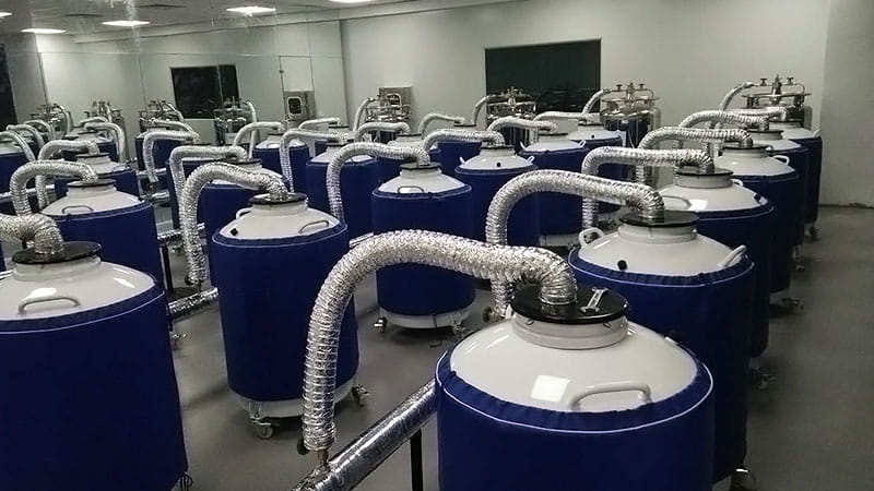 TCcryo Liquid Nitrogen Tank Cooperation Case