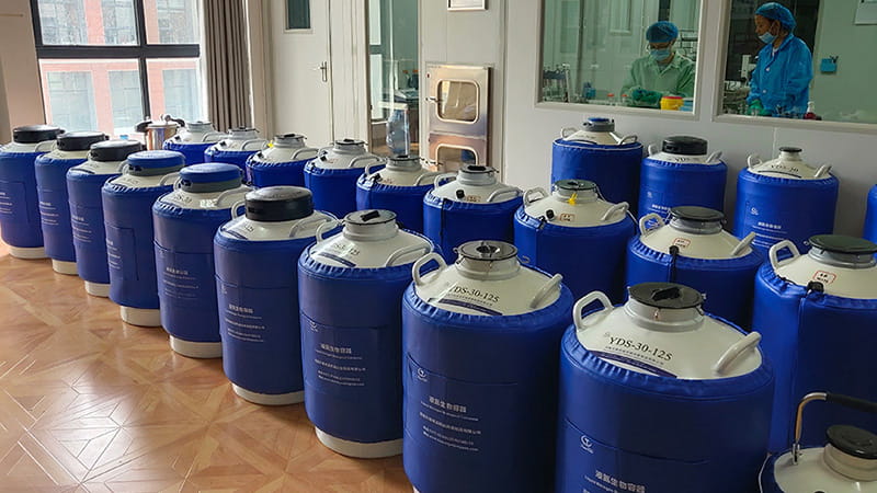TCcryo liquid nitrogen tank in the laboratory