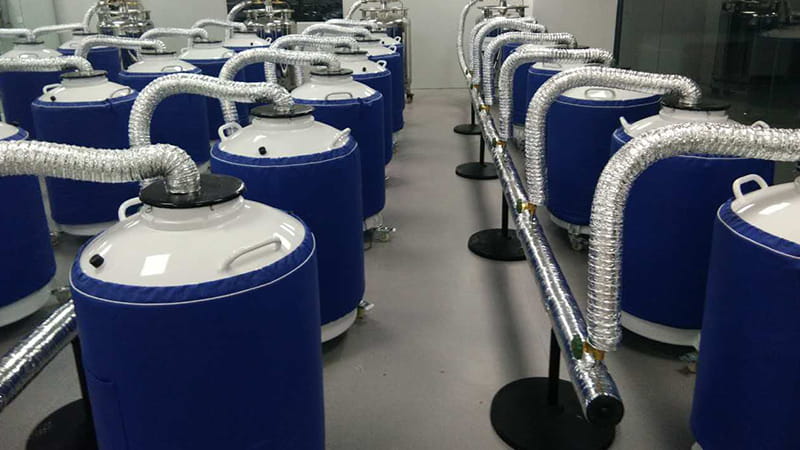 天馳幫助客戶搭建液氮罐實驗室