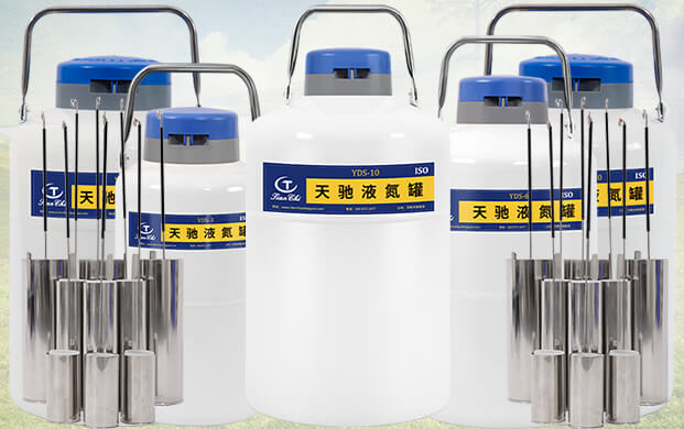 10升液氮罐能裝多少支凍精？