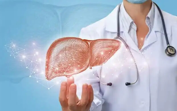 日本培育代謝活性肝細(xì)胞類器官，液氮冷凍技術(shù)突破存儲(chǔ)瓶頸